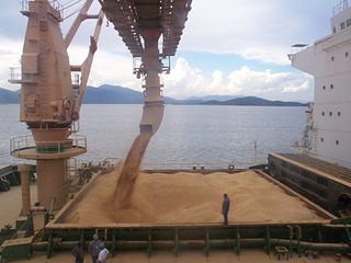 inspection of a ship load of wheat.